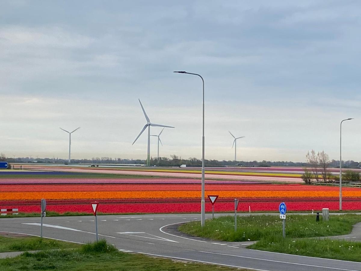 Zijperweg Vakantiehuis Petten Exterior foto